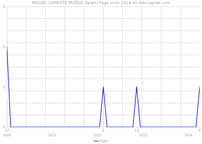 MIGUEL GARROTE MUÑOZ (Spain) Page visits 2024 