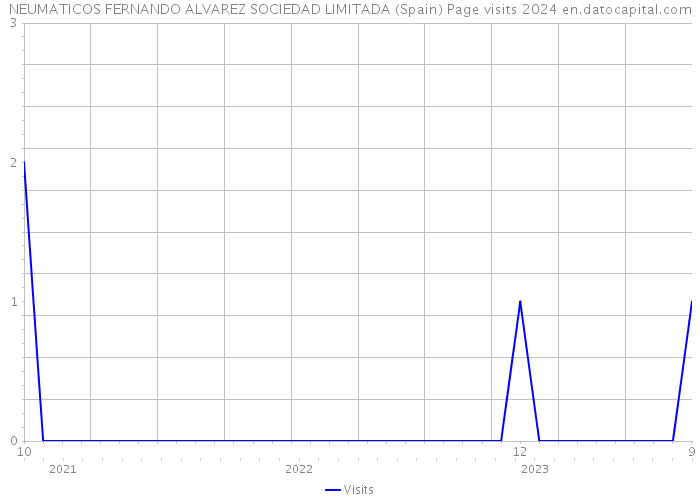 NEUMATICOS FERNANDO ALVAREZ SOCIEDAD LIMITADA (Spain) Page visits 2024 