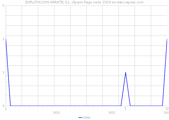 EXPLOTACION ARRATE, S.L. (Spain) Page visits 2024 