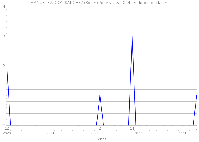 MANUEL FALCON SANCHEZ (Spain) Page visits 2024 