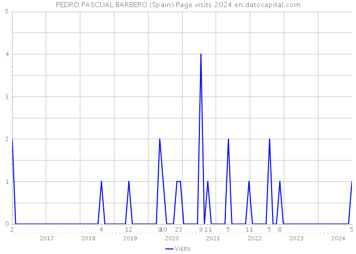 PEDRO PASCUAL BARBERO (Spain) Page visits 2024 