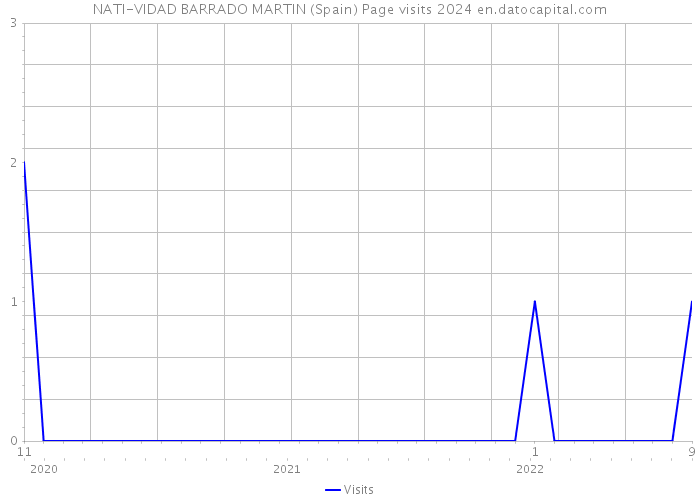 NATI-VIDAD BARRADO MARTIN (Spain) Page visits 2024 