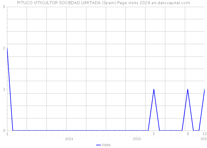 PITUCO VITICULTOR SOCIEDAD LIMITADA (Spain) Page visits 2024 