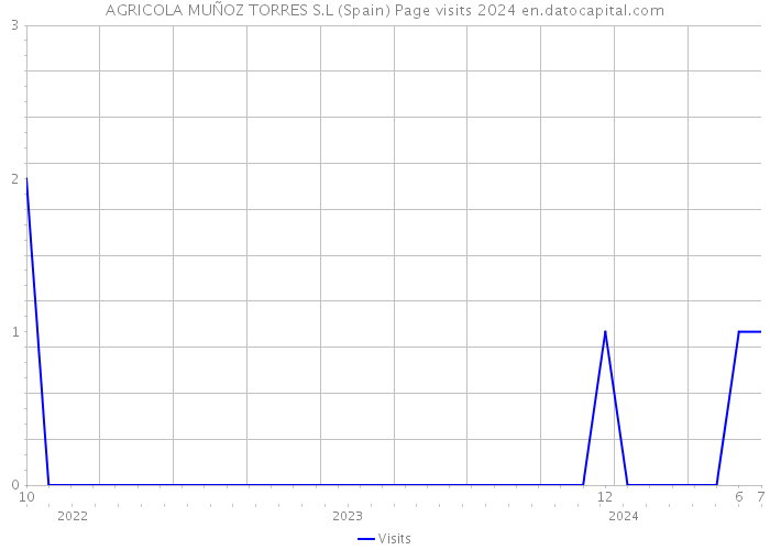 AGRICOLA MUÑOZ TORRES S.L (Spain) Page visits 2024 