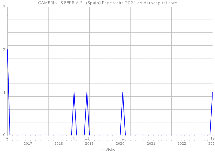 GAMBRINUS BERRIA SL (Spain) Page visits 2024 