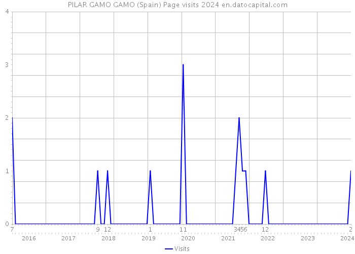 PILAR GAMO GAMO (Spain) Page visits 2024 
