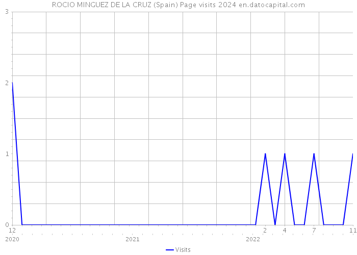 ROCIO MINGUEZ DE LA CRUZ (Spain) Page visits 2024 