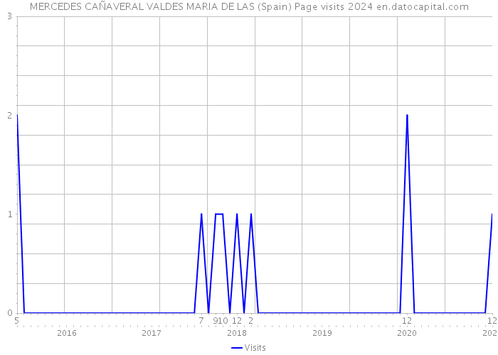 MERCEDES CAÑAVERAL VALDES MARIA DE LAS (Spain) Page visits 2024 