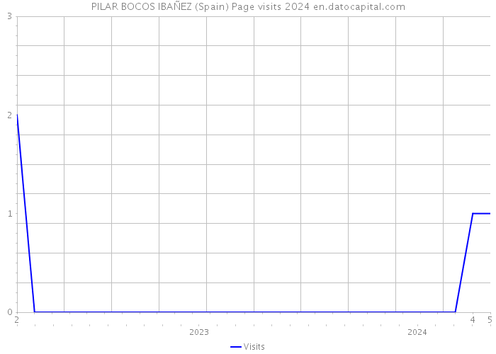 PILAR BOCOS IBAÑEZ (Spain) Page visits 2024 