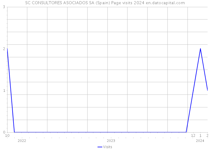 SC CONSULTORES ASOCIADOS SA (Spain) Page visits 2024 