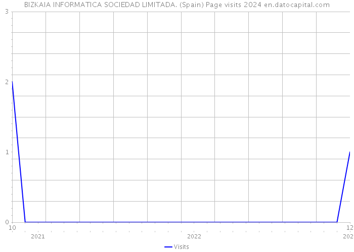 BIZKAIA INFORMATICA SOCIEDAD LIMITADA. (Spain) Page visits 2024 