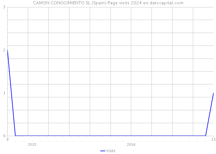 CAMON CONOCIMIENTO SL (Spain) Page visits 2024 