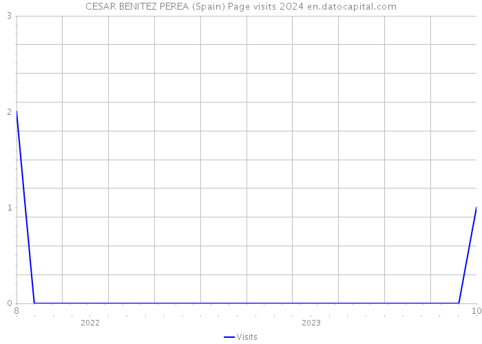 CESAR BENITEZ PEREA (Spain) Page visits 2024 