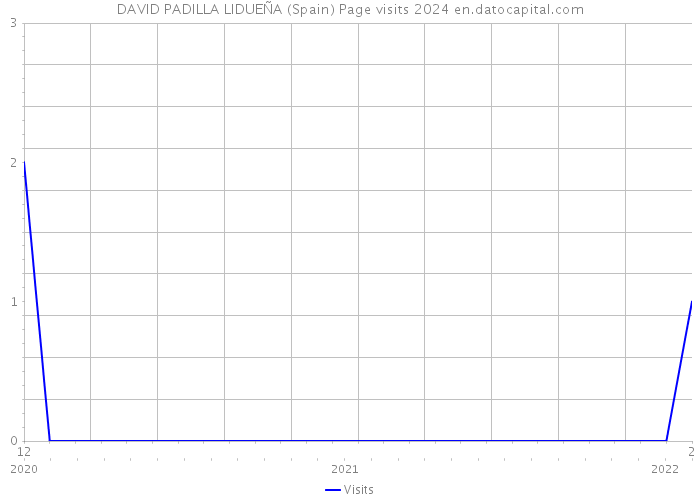 DAVID PADILLA LIDUEÑA (Spain) Page visits 2024 