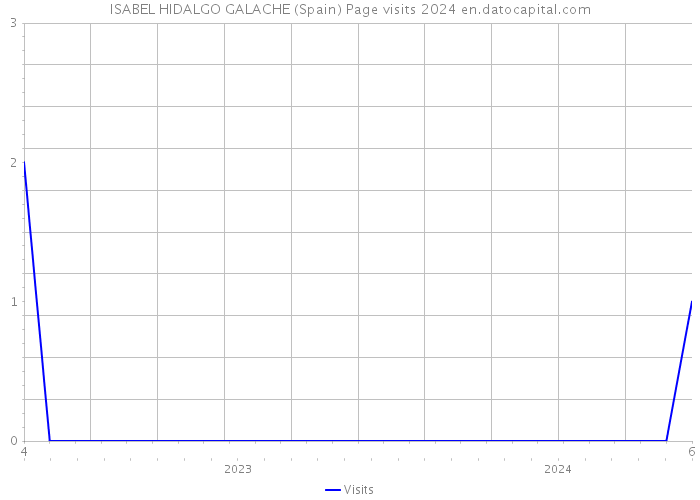 ISABEL HIDALGO GALACHE (Spain) Page visits 2024 