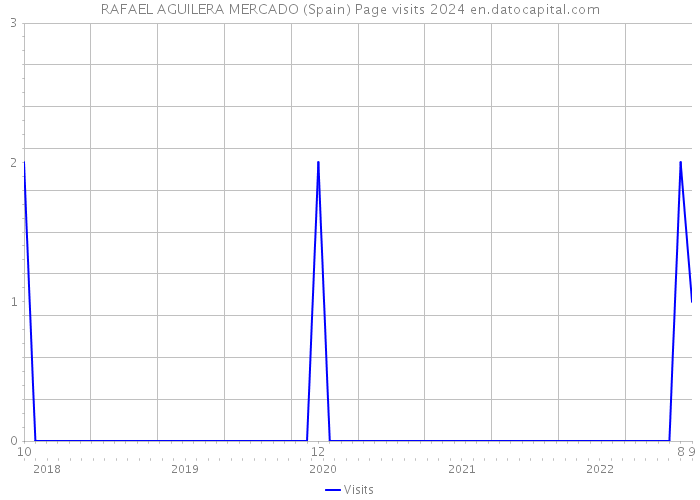 RAFAEL AGUILERA MERCADO (Spain) Page visits 2024 