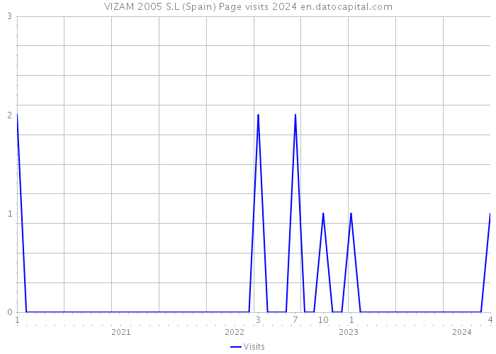 VIZAM 2005 S.L (Spain) Page visits 2024 