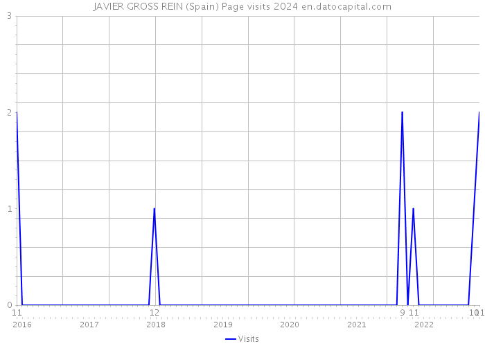 JAVIER GROSS REIN (Spain) Page visits 2024 