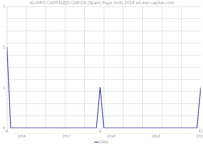 ALVARO CANTALEJO GARCIA (Spain) Page visits 2024 