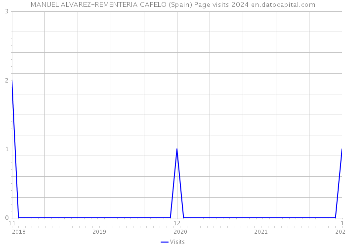 MANUEL ALVAREZ-REMENTERIA CAPELO (Spain) Page visits 2024 