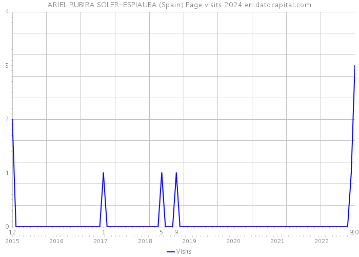 ARIEL RUBIRA SOLER-ESPIAUBA (Spain) Page visits 2024 