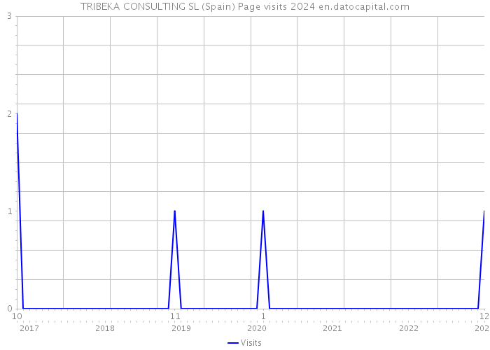 TRIBEKA CONSULTING SL (Spain) Page visits 2024 