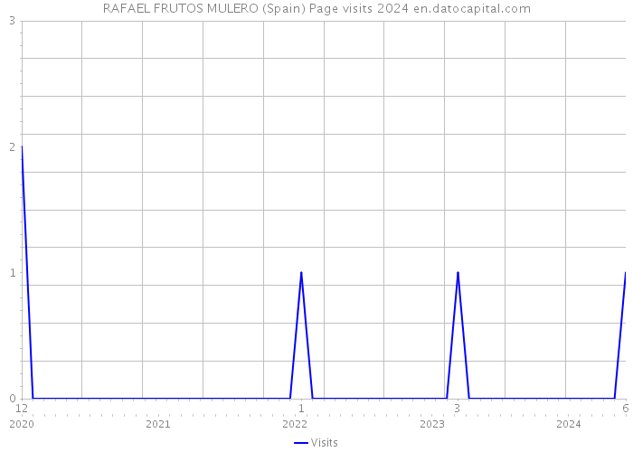 RAFAEL FRUTOS MULERO (Spain) Page visits 2024 