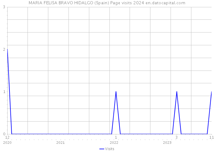 MARIA FELISA BRAVO HIDALGO (Spain) Page visits 2024 