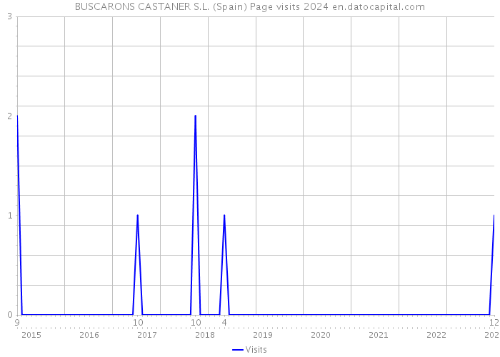 BUSCARONS CASTANER S.L. (Spain) Page visits 2024 