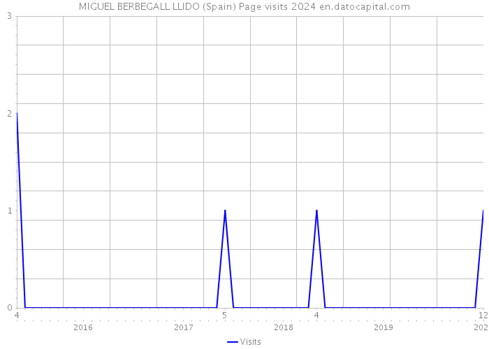 MIGUEL BERBEGALL LLIDO (Spain) Page visits 2024 