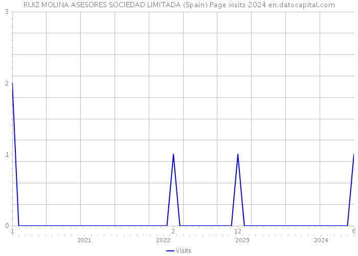 RUIZ MOLINA ASESORES SOCIEDAD LIMITADA (Spain) Page visits 2024 