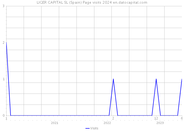 LIGER CAPITAL SL (Spain) Page visits 2024 