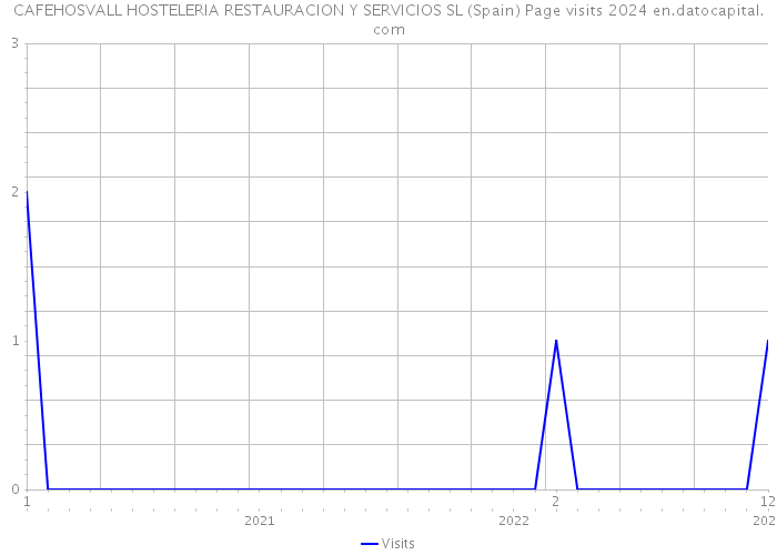 CAFEHOSVALL HOSTELERIA RESTAURACION Y SERVICIOS SL (Spain) Page visits 2024 