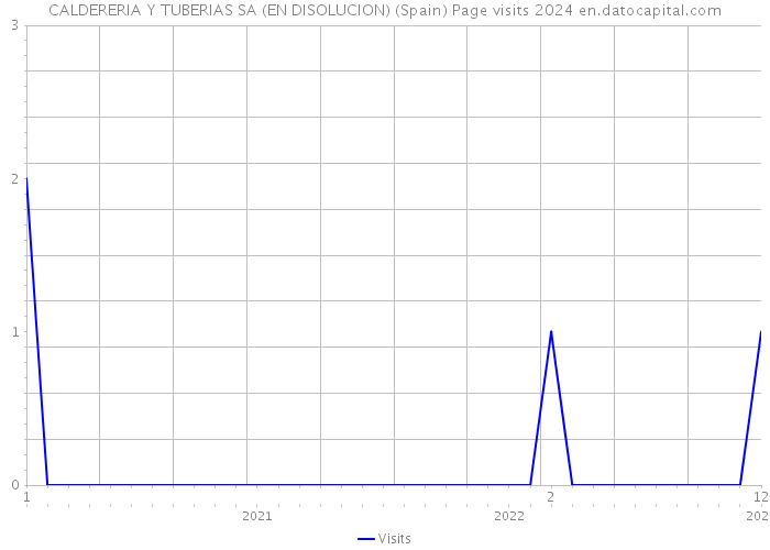 CALDERERIA Y TUBERIAS SA (EN DISOLUCION) (Spain) Page visits 2024 