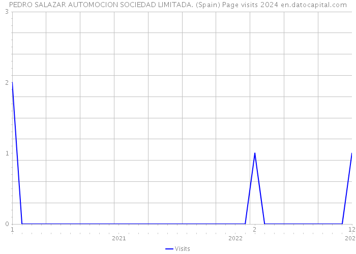 PEDRO SALAZAR AUTOMOCION SOCIEDAD LIMITADA. (Spain) Page visits 2024 