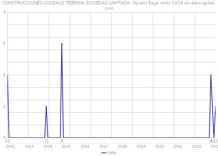 CONSTRUCCIONES GONZALO TEJERINA SOCIEDAD LIMITADA. (Spain) Page visits 2024 