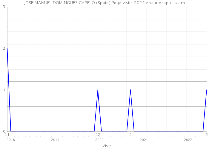 JOSE MANUEL DOMINGUEZ CAPELO (Spain) Page visits 2024 