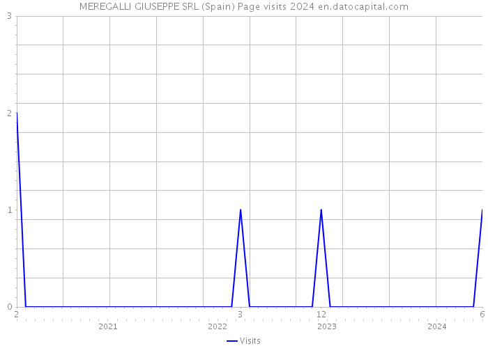 MEREGALLI GIUSEPPE SRL (Spain) Page visits 2024 