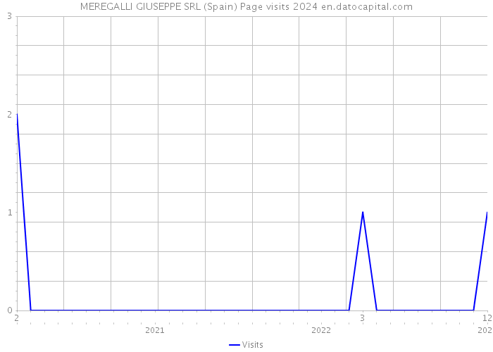 MEREGALLI GIUSEPPE SRL (Spain) Page visits 2024 