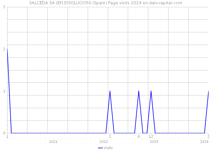 SALCEDA SA (EN DISOLUCION) (Spain) Page visits 2024 