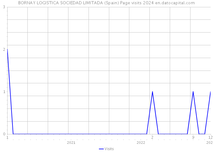 BORNAY LOGISTICA SOCIEDAD LIMITADA (Spain) Page visits 2024 