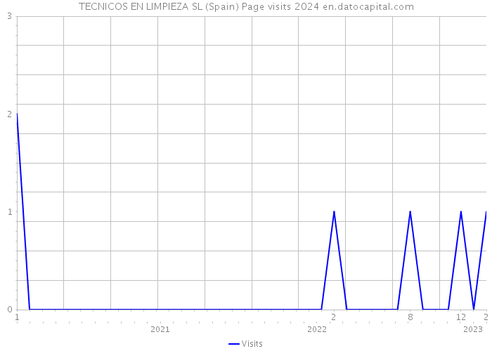 TECNICOS EN LIMPIEZA SL (Spain) Page visits 2024 