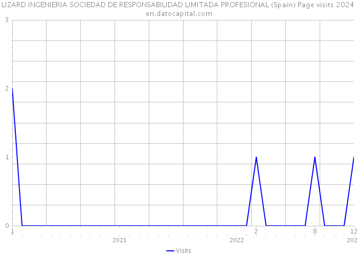 LIZARD INGENIERIA SOCIEDAD DE RESPONSABILIDAD LIMITADA PROFESIONAL (Spain) Page visits 2024 