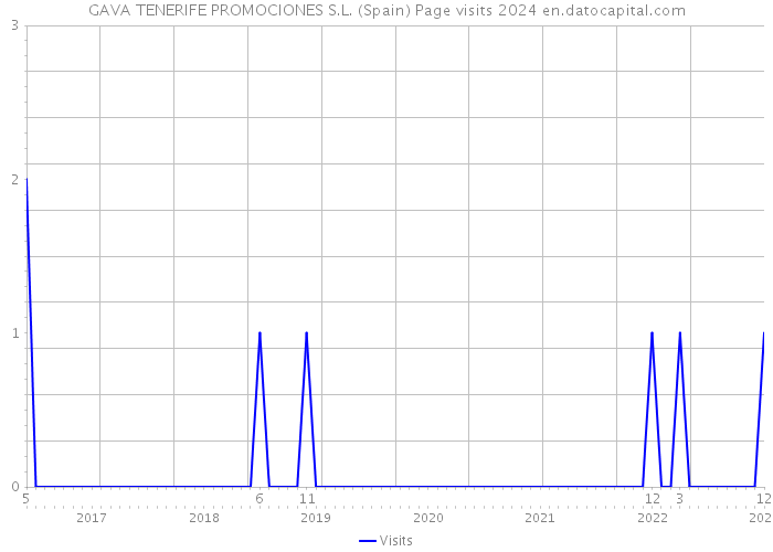 GAVA TENERIFE PROMOCIONES S.L. (Spain) Page visits 2024 