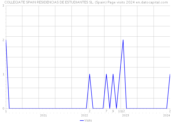 COLLEGIATE SPAIN RESIDENCIAS DE ESTUDIANTES SL. (Spain) Page visits 2024 