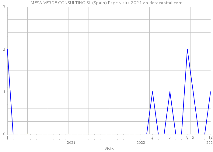 MESA VERDE CONSULTING SL (Spain) Page visits 2024 