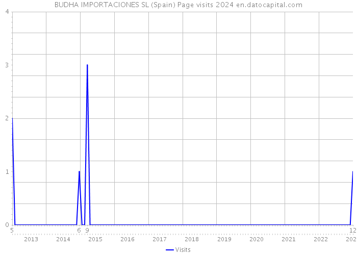 BUDHA IMPORTACIONES SL (Spain) Page visits 2024 