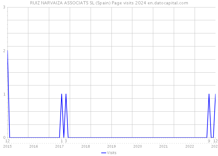 RUIZ NARVAIZA ASSOCIATS SL (Spain) Page visits 2024 