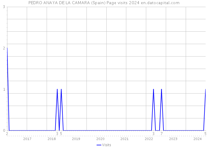 PEDRO ANAYA DE LA CAMARA (Spain) Page visits 2024 