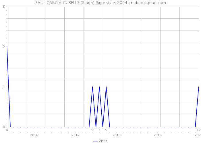 SAUL GARCIA CUBELLS (Spain) Page visits 2024 